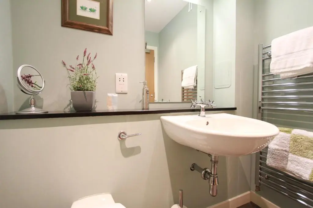 a bathroom with a sink and a toilet and a mirror at Abbey Garden at the Highland Club in Fort Augustus