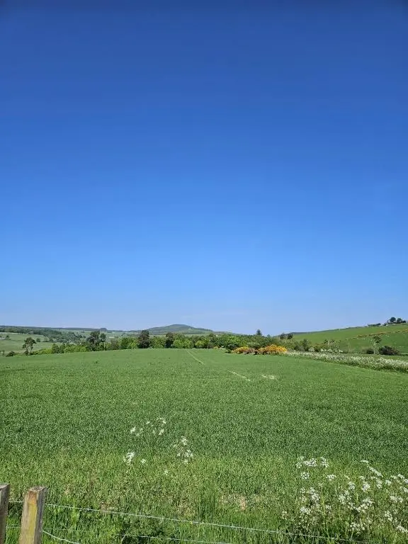 a field of green grass with a fence in the foreground at Hillhaven Lodge in Inverness