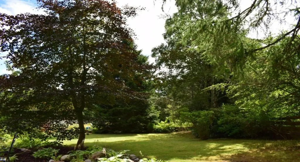 a garden with trees and grass and a field at Four Pines Lodge in Skye of Curr