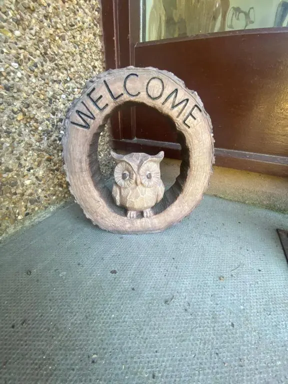 a cat is sitting inside of a tire at Drummond House - Pets welcome free, 3 acres of gardens, free parking in Brackley