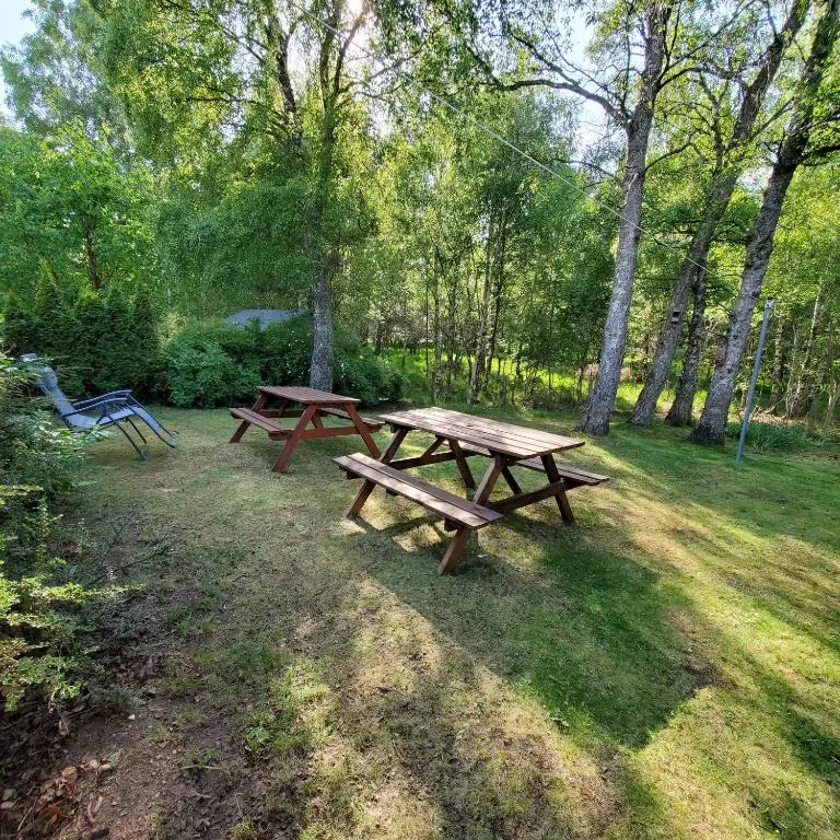 two picnic tables in a field with trees at Aviemore Bungalow, Dalfaber in Aviemore