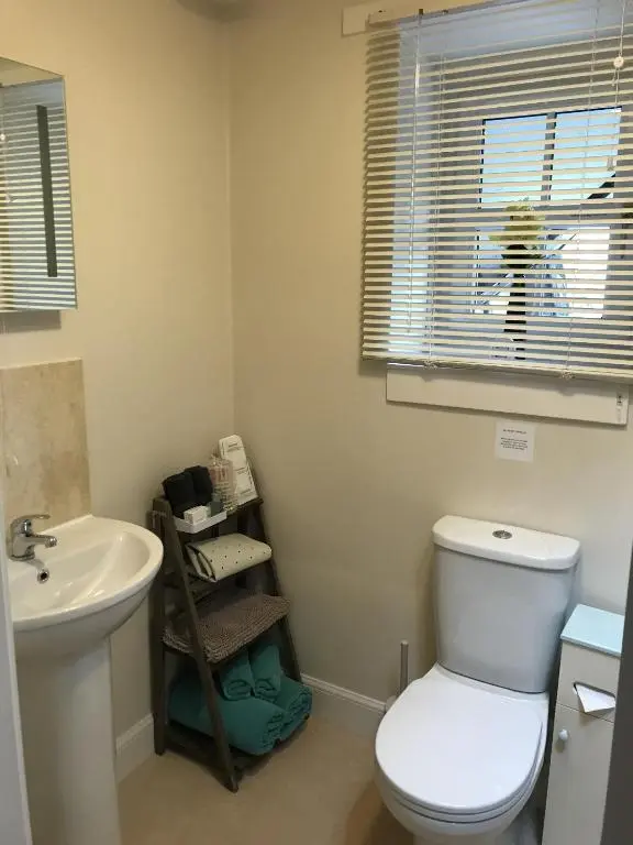 a bathroom with a white toilet and a sink at The Struan Inn Self Catering Lodge in Struan