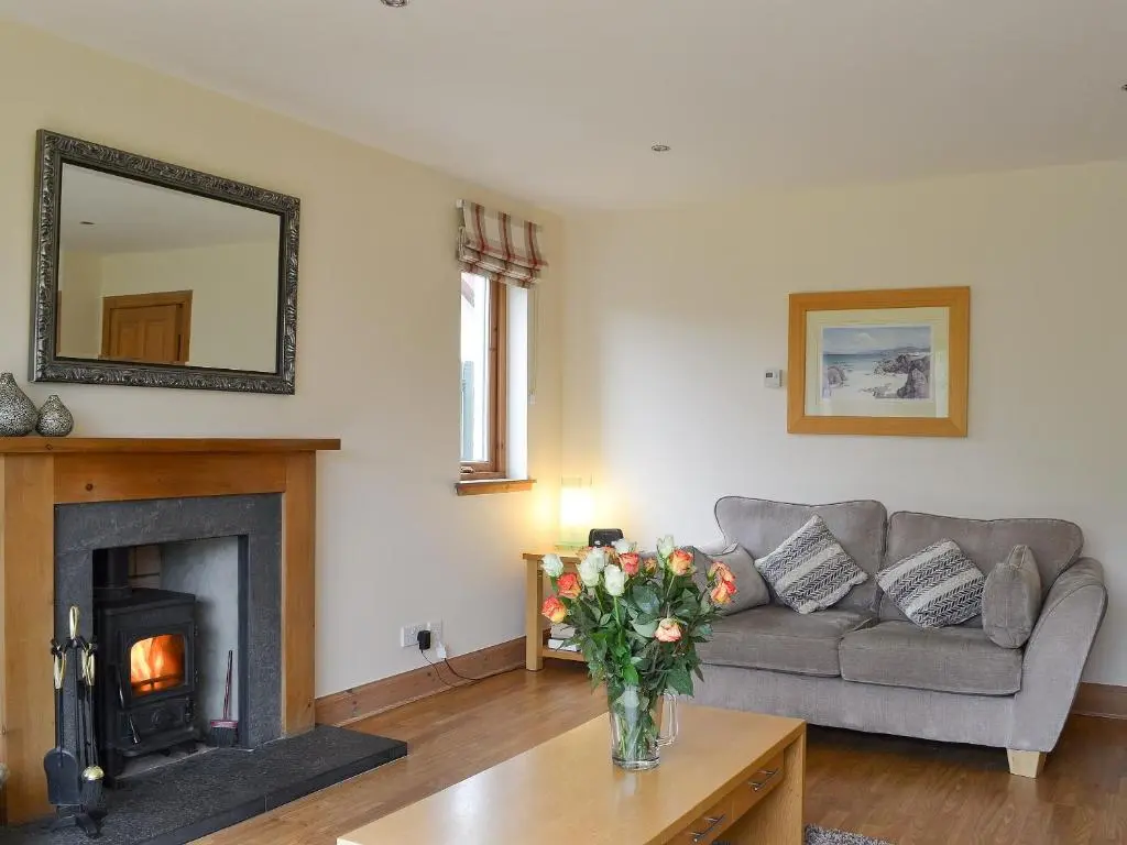 a living room with a couch and a fireplace at 3 Allt Mor in Aviemore