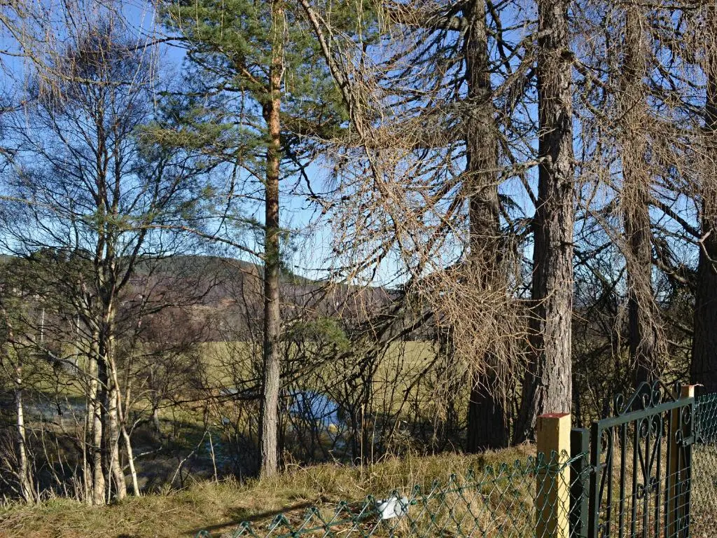 a fence in a field with trees and a mountain at Tall Pines in Carrbridge