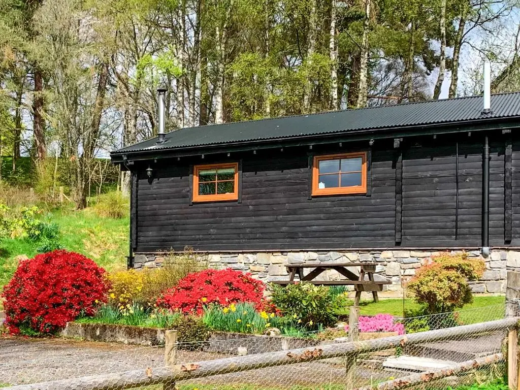 a black cabin with a bench in front of it at Squirrel View in Newtonmore