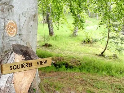 a sign that says squirrel view on a tree at Squirrel View in Newtonmore