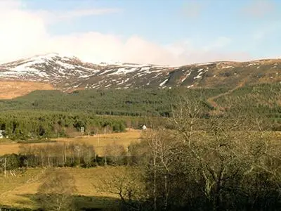 a snow covered mountain in a field with trees at Holly Cottage in Gorstan