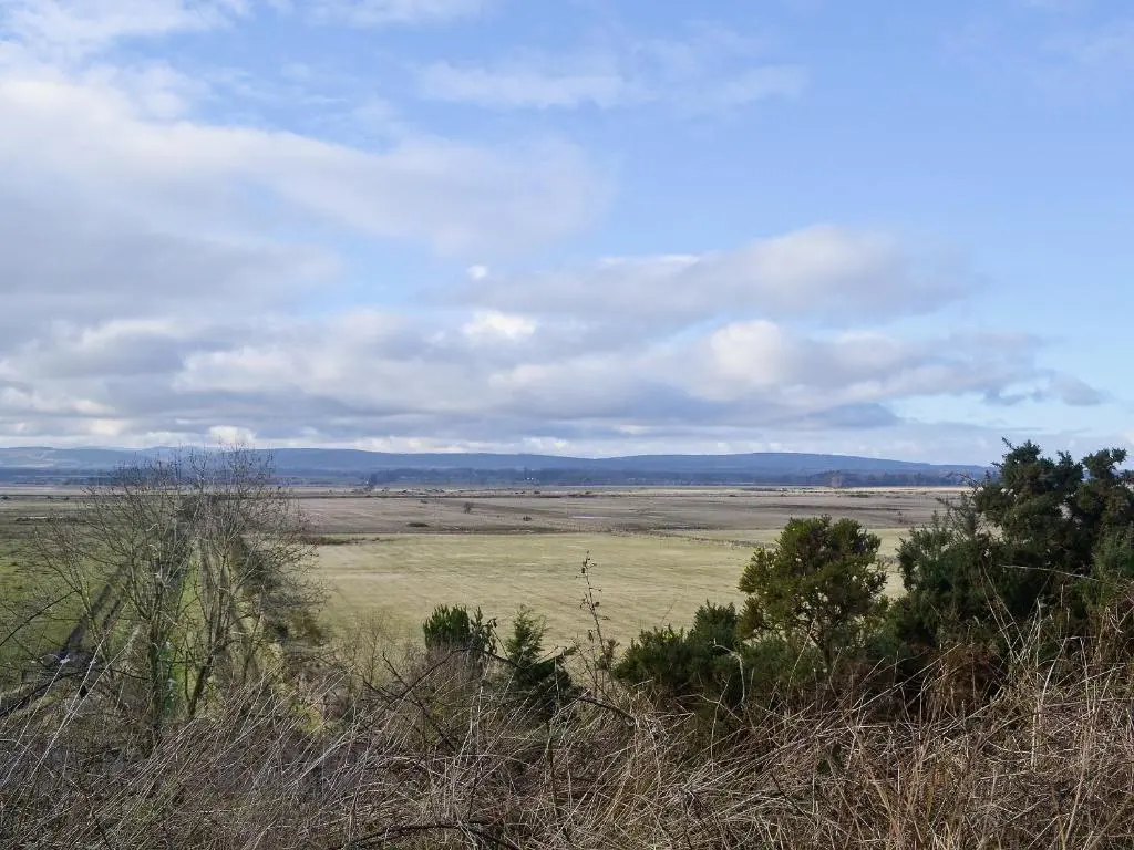 an open field with trees and a cloudy sky at Rosscot in Ankerville