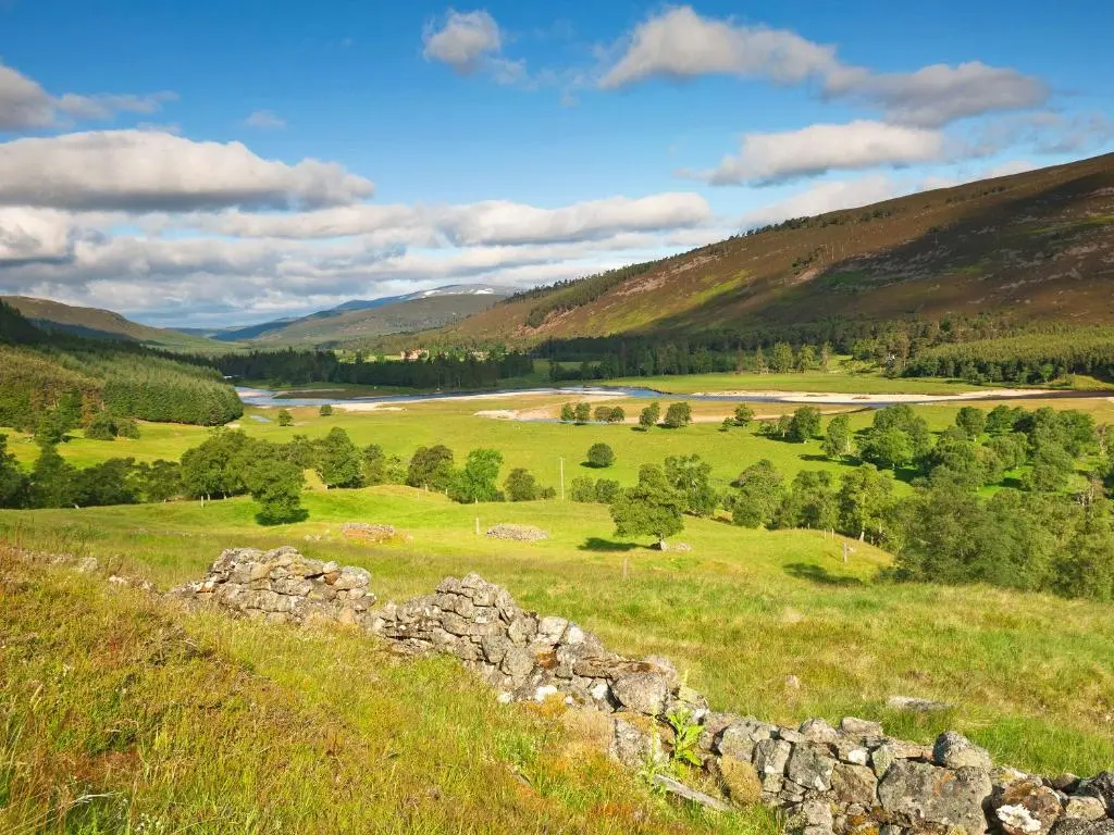a green field with a stone wall in the foreground at Meall Darroch in Inverey
