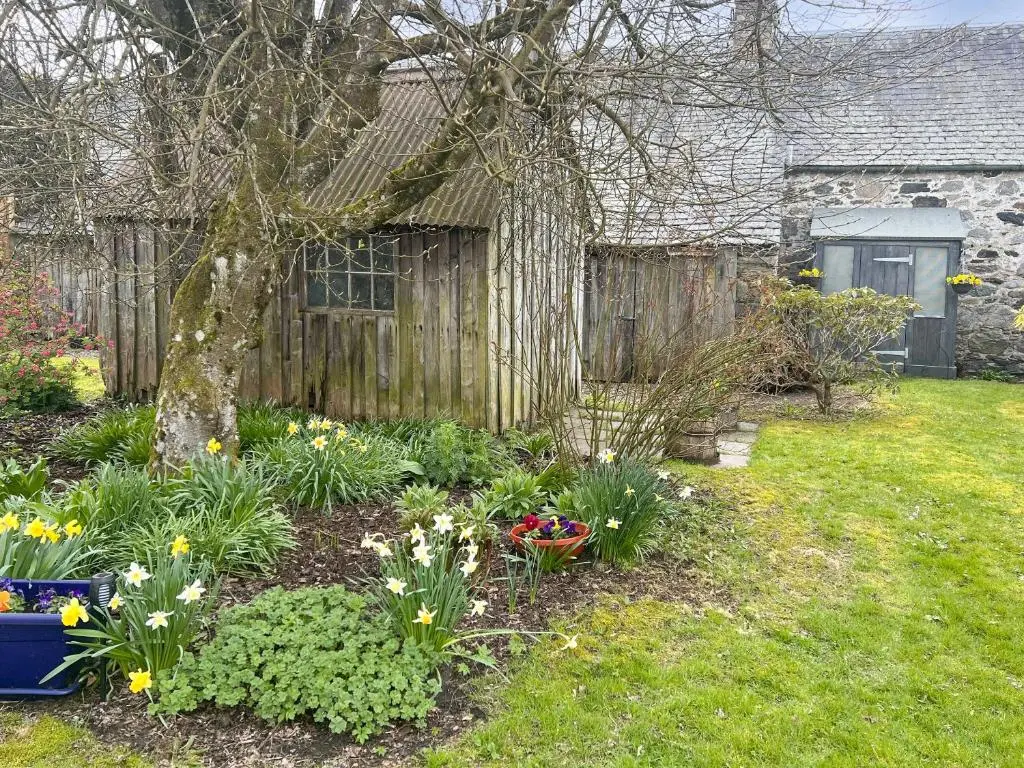 a garden with flowers in front of a fence at Sunnyside in Kirkmichael