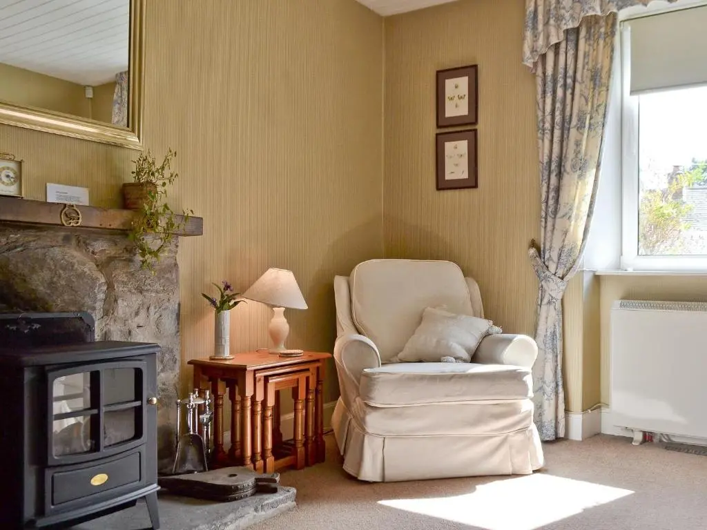 a living room with a chair and a wood stove at Sunnyside in Kirkmichael