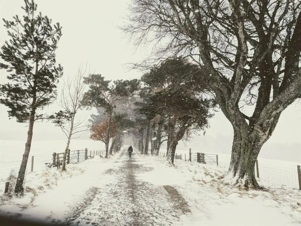a snow covered road with trees and a fence at Spectacular Mountain View Ecopod in Newtonmore