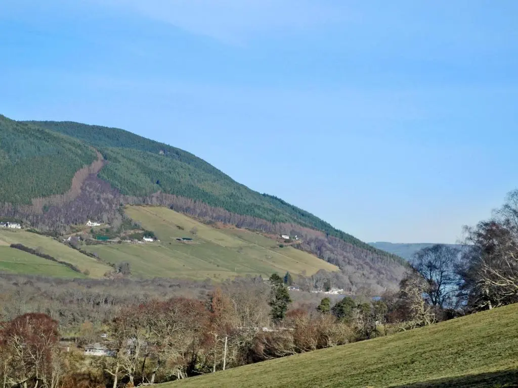 a green hillside with trees and hills in the distance at Thistle Dubh in Drumnadrochit