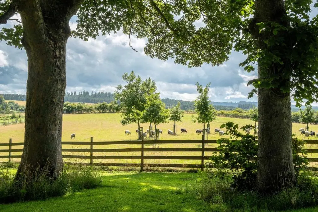 a fence in a field with animals in the distance at Marcassie Farm Lodges - Willow Studio in Forres