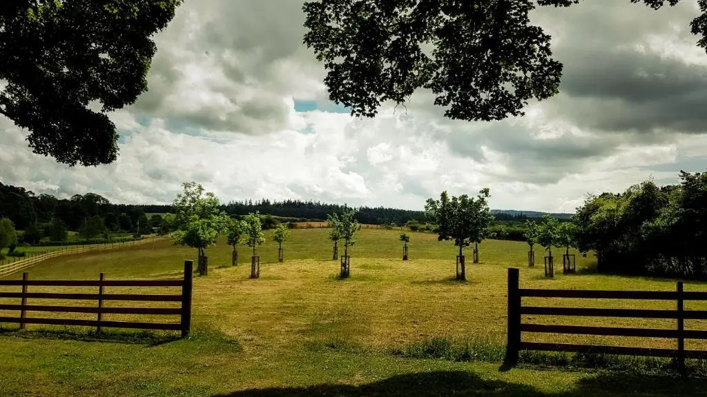 a field with a fence and trees in it at Marcassie Farm Lodges - Willow Studio in Forres