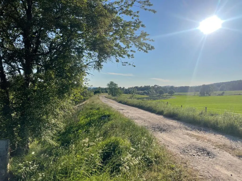 a dirt road in the middle of a field at Daisy Cabin in Kincardine O\u02bcNeil