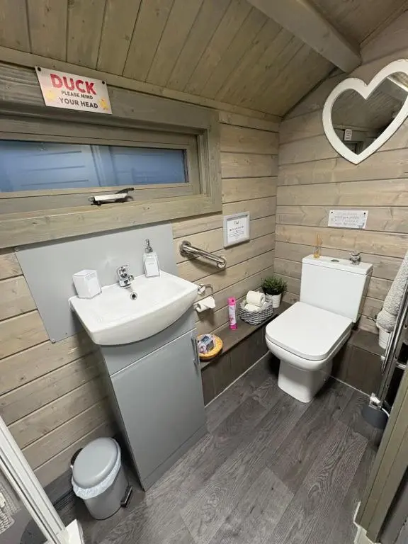 a bathroom with a toilet and a sink at Daisy Cabin in Kincardine O\u02bcNeil