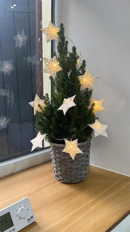 a christmas tree in a basket with stars on a window at 51 Innes Street Apartment in Inverness