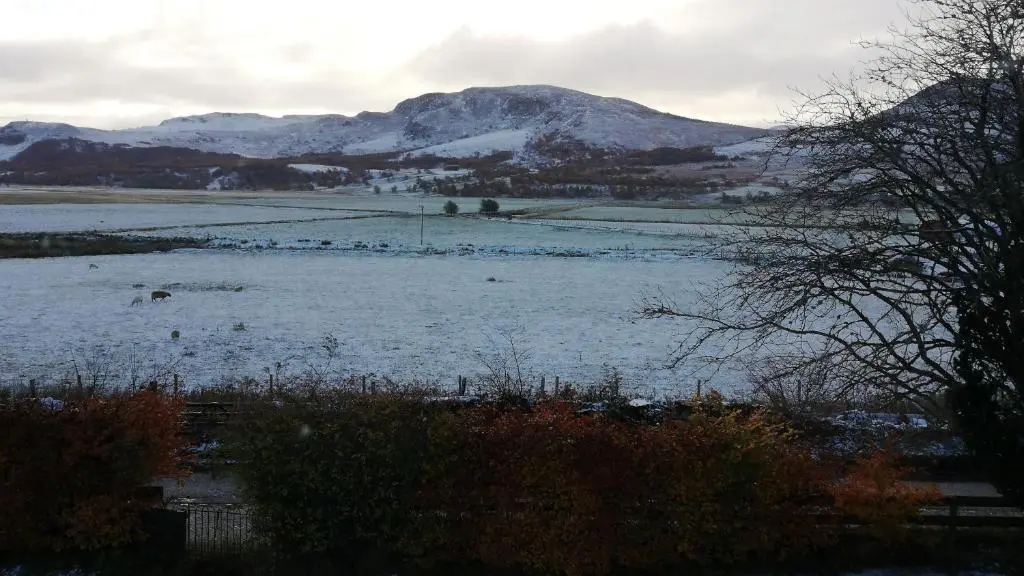 a snow covered field with birds on the water at Cluny Mains in Newtonmore