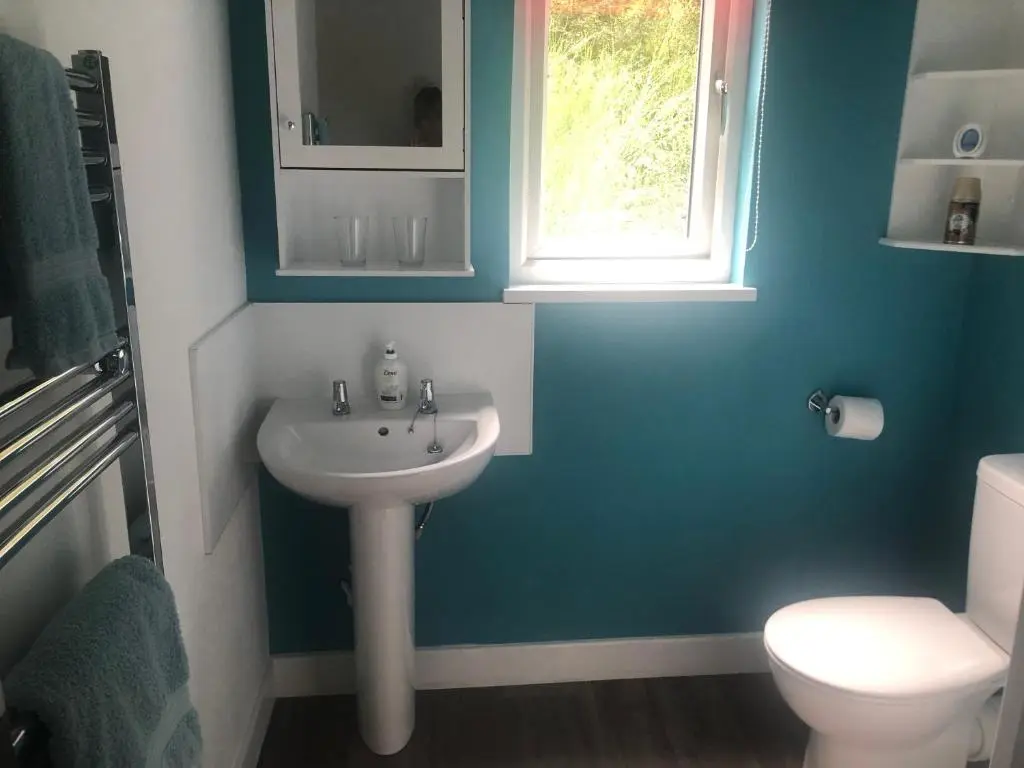 a bathroom with a sink and a toilet and a window at The South Cabin at Easter Arr in Nairn