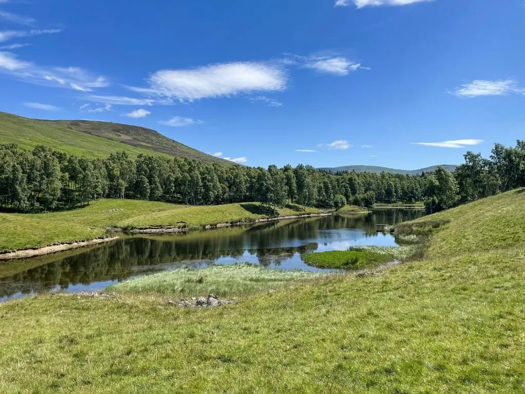 a river in the middle of a grassy field at Brandy Cottage - Ukc6855 in Millton of Clova