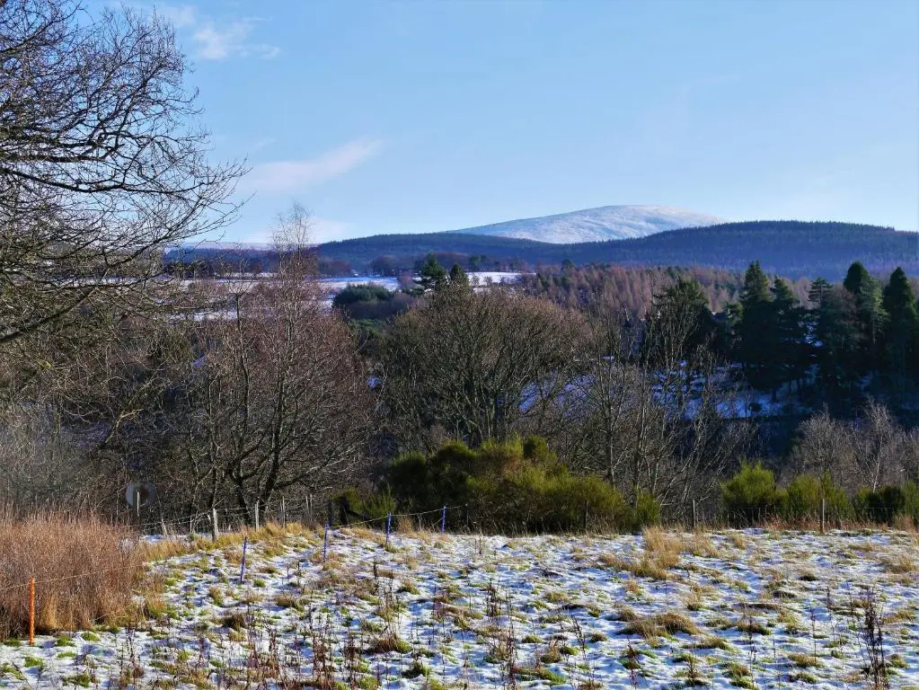 a snowy field with trees and mountains in the background at Laundry Cottage in Aberlour