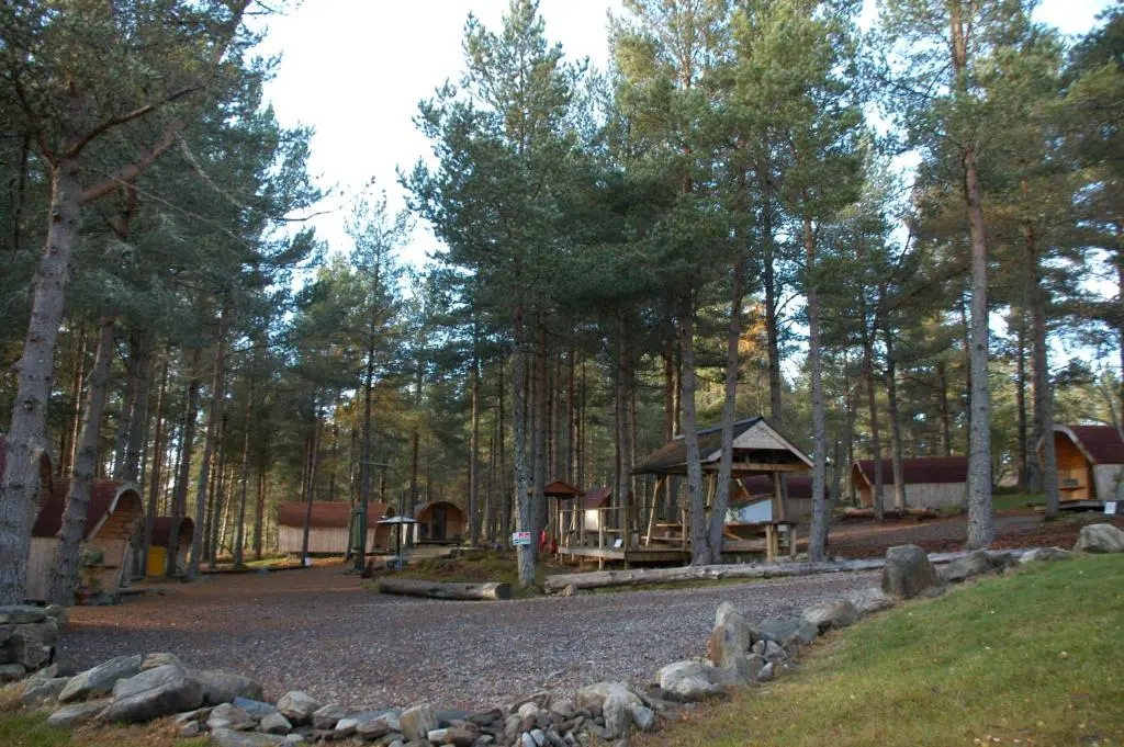 a park with a tent in the middle of a forest at Camping Pod Heaven in Brackla