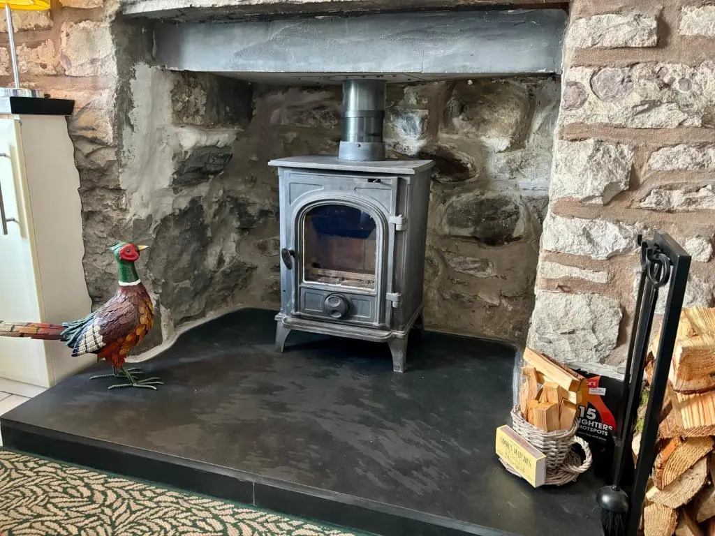 a rooster standing in front of a wood stove at Loch Ness village cottage for 2 with free parking & pets welcome in Drumnadrochit