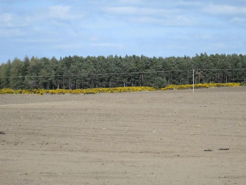 an empty soccer field with a fence in the background at Broomlea in Ardersier