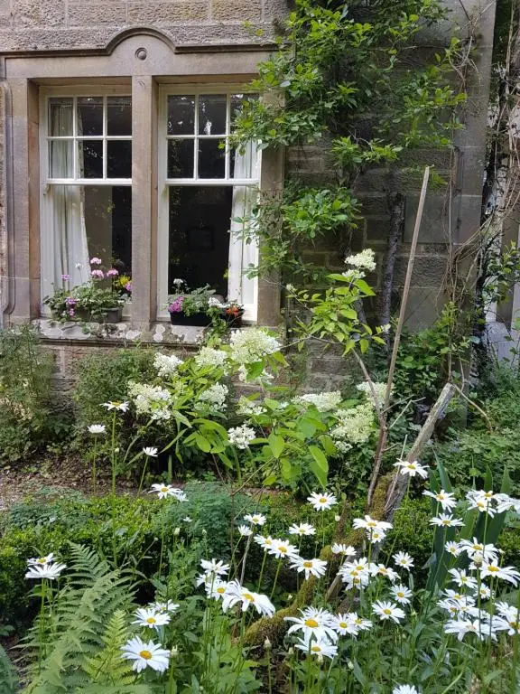 a garden with white flowers in front of a window at Dalvey East Lodge in Forres