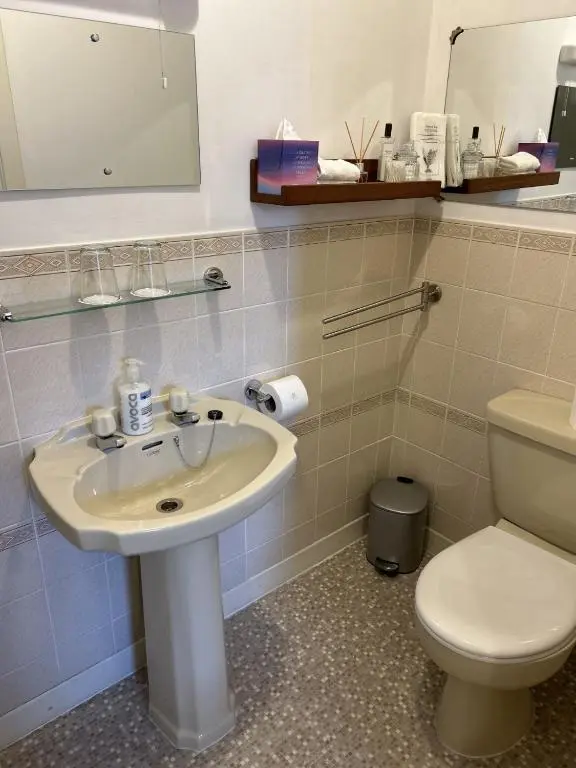 a bathroom with a sink and a toilet at Corunna Bed & Breakfast and Corunna Cottage in Inverness