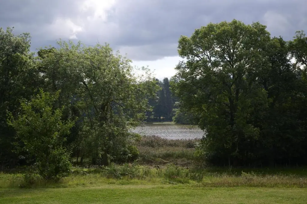 two trees in a field with a body of water at Middleton Farmhouse in Inverness