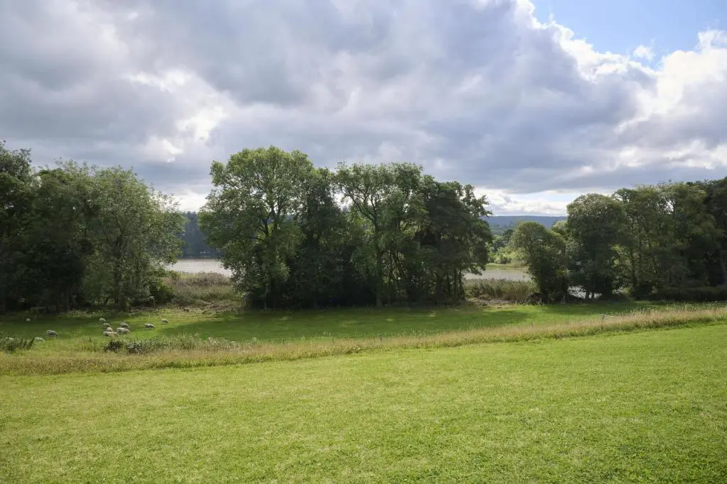 a field with a large tree in the middle of it at Middleton Farmhouse in Inverness