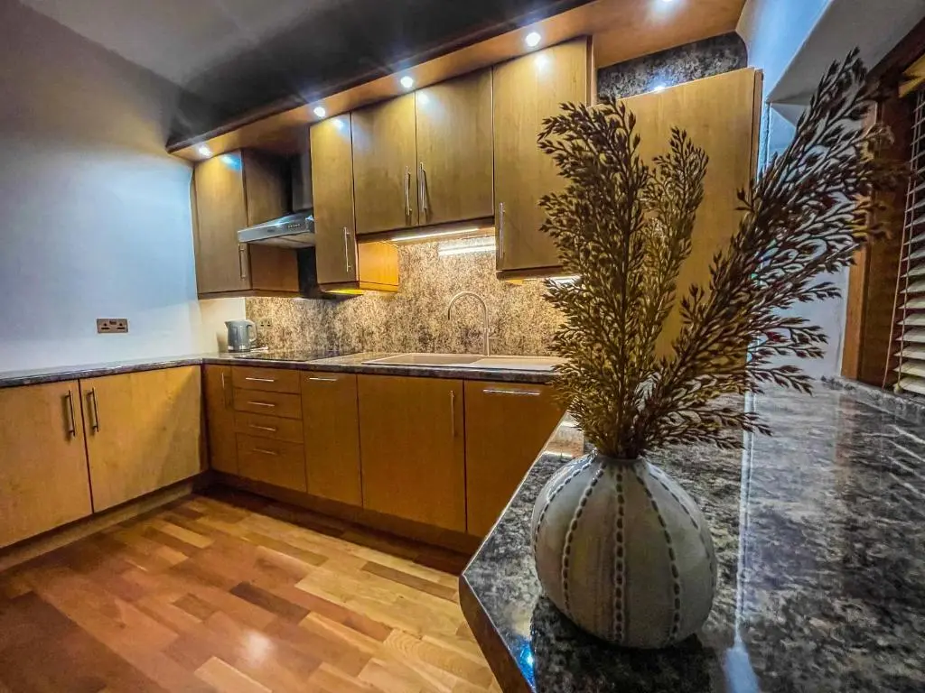 a kitchen with a vase with a plant in it at Cathedral Apartment in Inverness