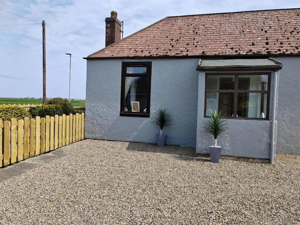 a blue house with two plants in front of it at Westview in Buckie