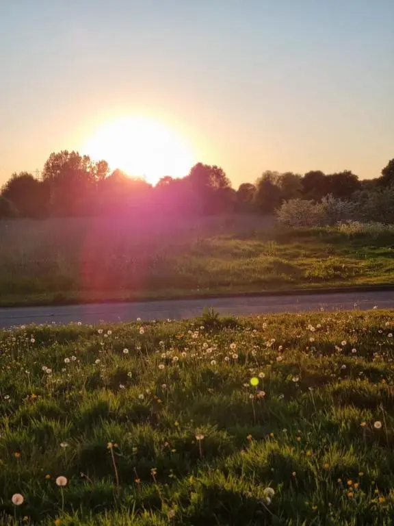 a sunset over a field of grass and a road at Serviced Apartment - Aberdeen in Dyce