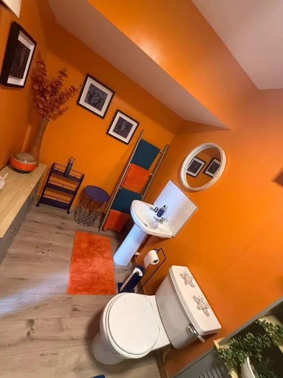 an orange bathroom with a toilet and a sink at Old Dairy in Tain