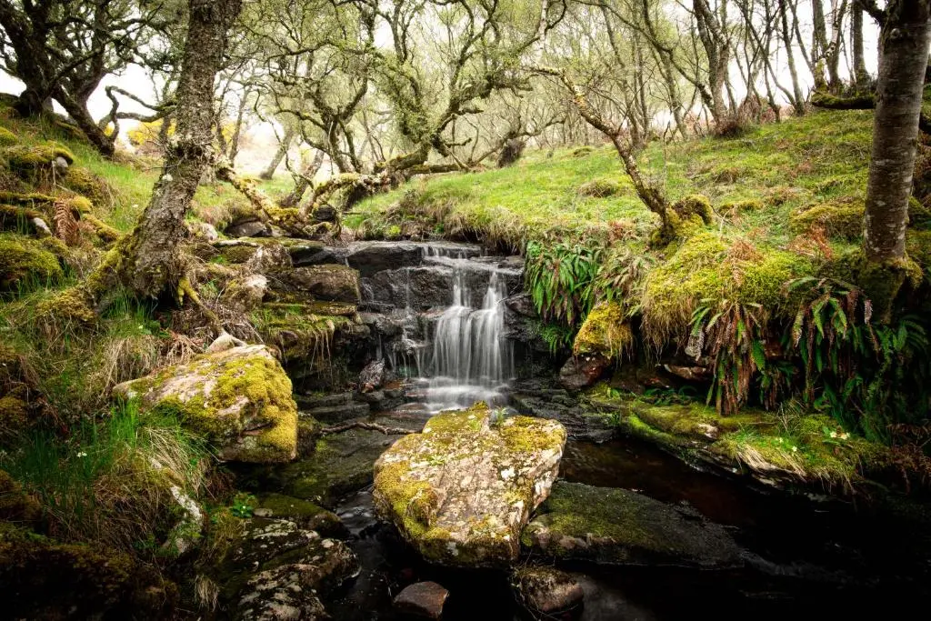 a waterfall in a forest with rocks and trees at The High Croft in Rogart