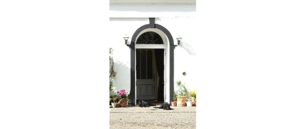 a dog sitting in front of a church door at Thrumster House in Wick
