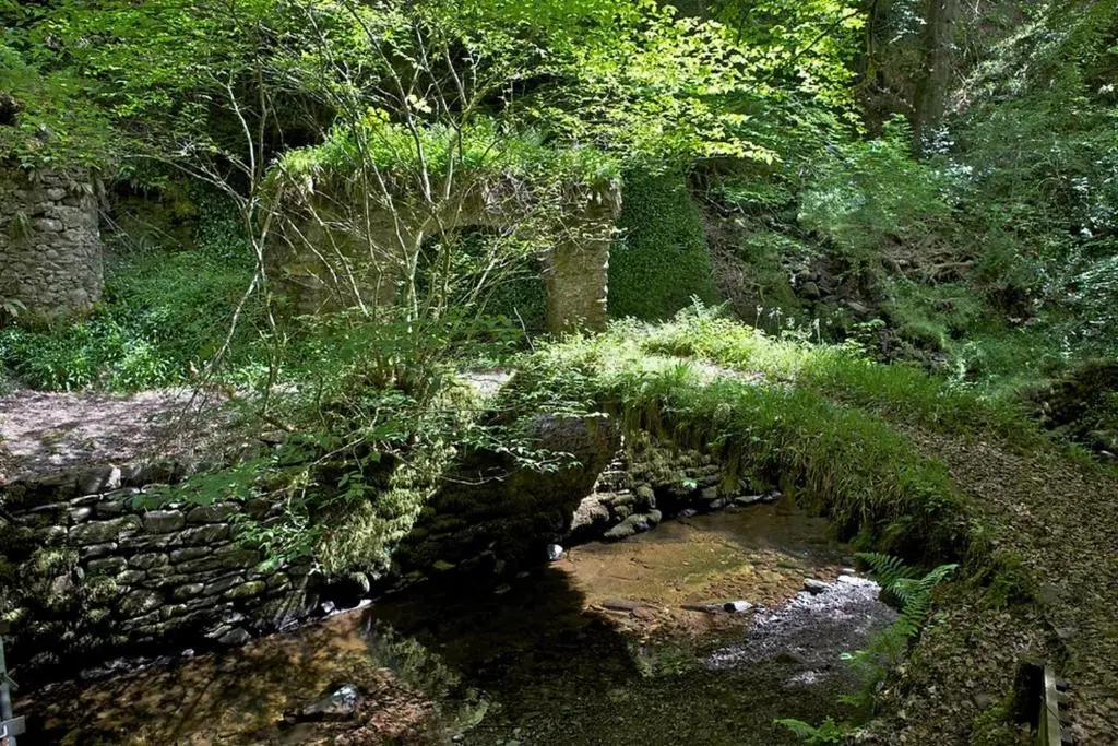 a stone bridge over a stream in a forest at Baillie Chalet on Reelig Estate in Kirkhill