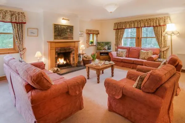 a living room with two couches and a fireplace at Rymore Wood Lodge - Seasgair Lodges in Nethy Bridge