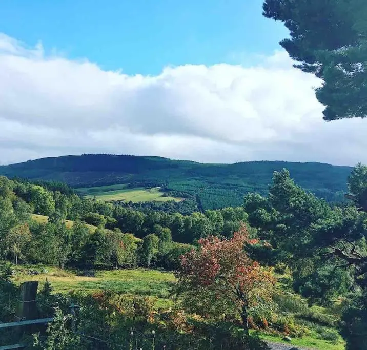 a view of a green field with trees in the distance at Traditional Croft Cottage Minutes from Lochness in Drumnadrochit