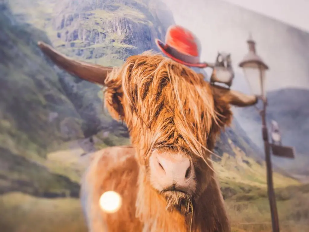 a cow with a hat on its face next to a street light at Chalet Lothlorien Lodge 4 by Interhome in Spean Bridge