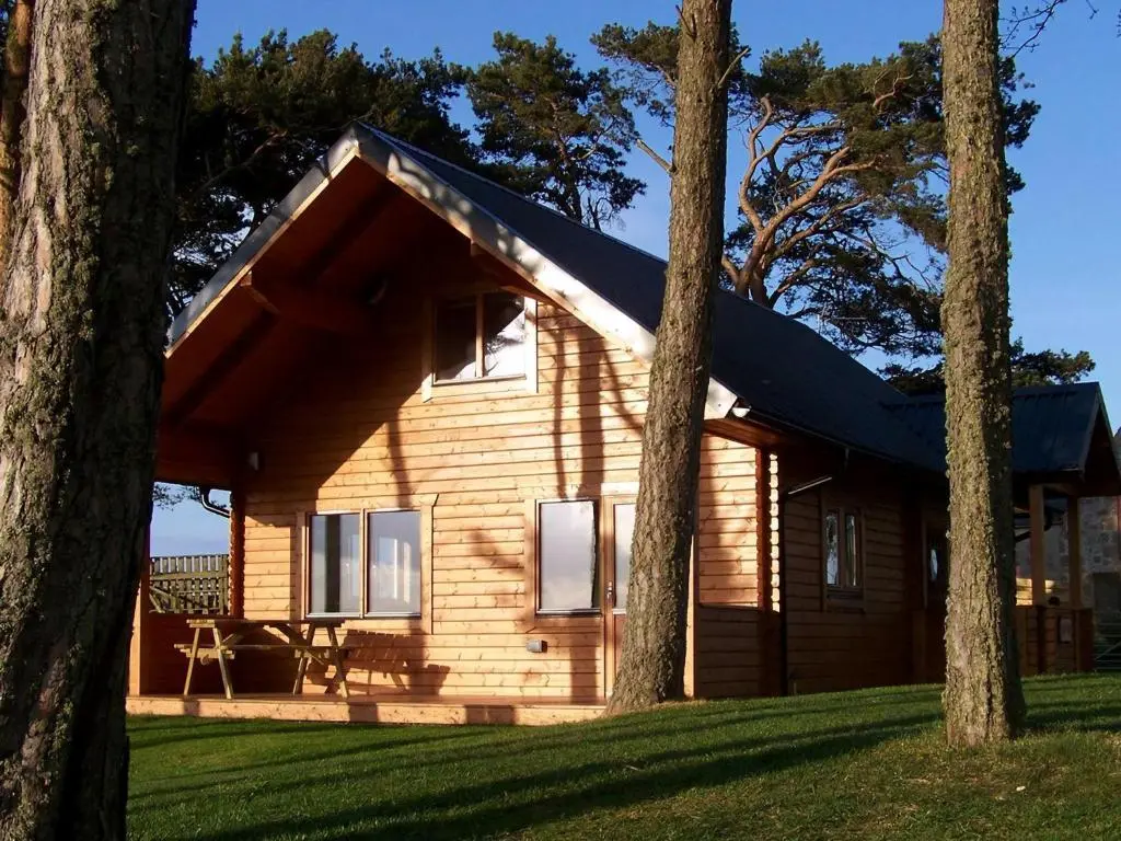 a wooden cabin with trees in front of it at Taigh Fiodha in Balintore