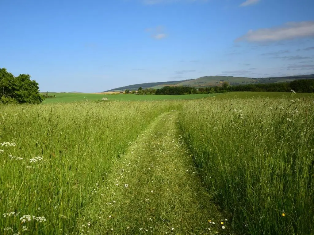 a dirt road through a field of tall grass at 3 Bed in Huntly 57368 in Insch