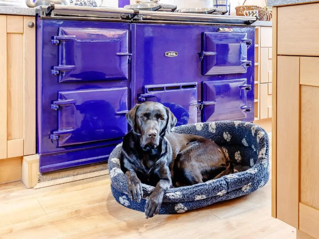 a dog laying in a dog bed in a kitchen at 5 Bed in Blacklunans CA409 in Cray