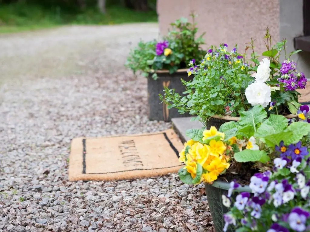 two pots of flowers sitting on a gravel path at 3 Bed in Drumnadrochit IN633 in Balnain