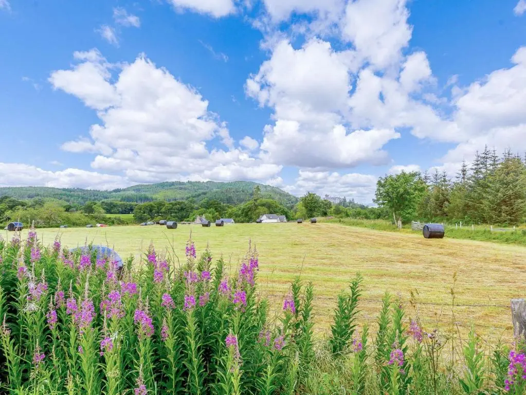 a field with purple flowers in a field with a blue sky at 1 Bed in Balblair 89058 in Culrain
