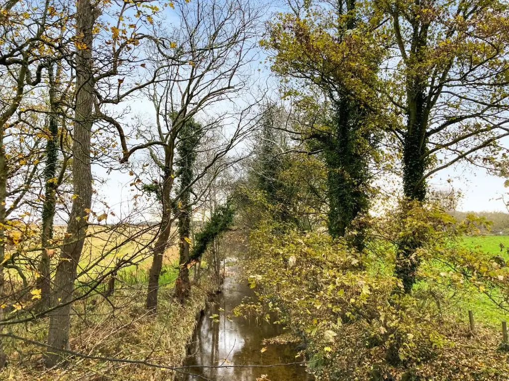 a stream of water with trees and a field at Sycamore Cottage - Uk45923 in Ballater
