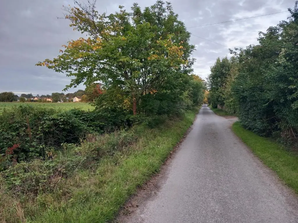a road with a tree on the side of it at The Coo Shed in Inverness